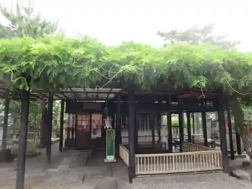 葛井寺(大阪府)