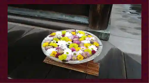 観音寺(東京都)