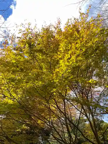 箱根神社(神奈川県)
