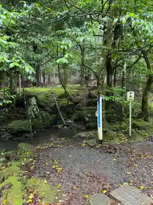 若狭彦神社（上社）(福井県)