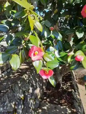 菅生神社(宮城県)