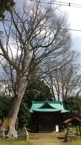 酒門神社の本殿