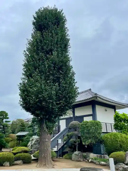 光了寺(茨城県)