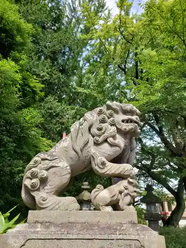 神炊館神社 ⁂奥州須賀川総鎮守⁂の狛犬