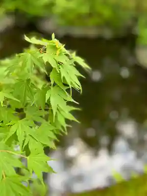 寒川神社(神奈川県)