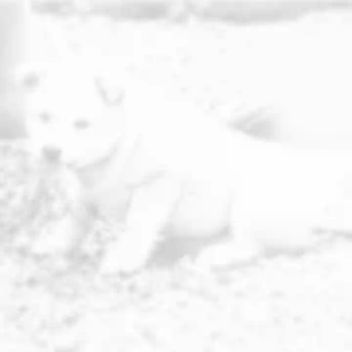 神田神社(神田明神)(東京都)