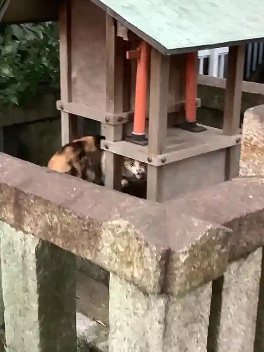 天王坊稲荷神社の動物