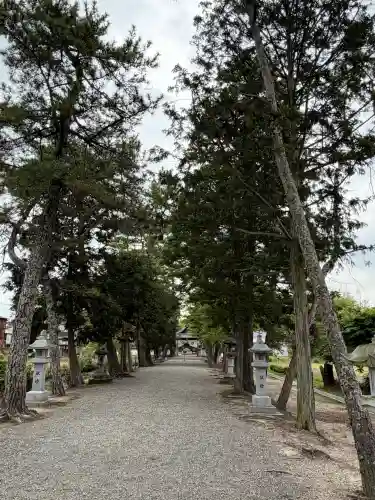 志那神社の{uncategorized: "未分類", other: "その他", undefined: "問題あり", building: "その他建物", grave: "お墓", sacred_gate: "鳥居", guardian: "狛犬", statue: "像", buddha: "仏像", history: "歴史", nature: "自然", garden: "庭園", animal: "動物", pagoda: "塔", temizu: "手水舎", mountain_gate: "山門・神門", sanctuary: "本殿・本堂", subordinate: "末社・摂社", art: "芸術", scenery: "景色", jizo: "地蔵", ema: "絵馬", goshuin: "御朱印", omikuji: "おみくじ", items: "授与品その他", amulet: "お守り", goshuincho: "御朱印帳", eats: "食事", festival: "お祭り", votive_dance: "神楽", shichigosan: "七五三参", wedding: "結婚式", experience: "体験その他", initially: "初詣", around: "周辺", anti_infection: "感染症対策"}