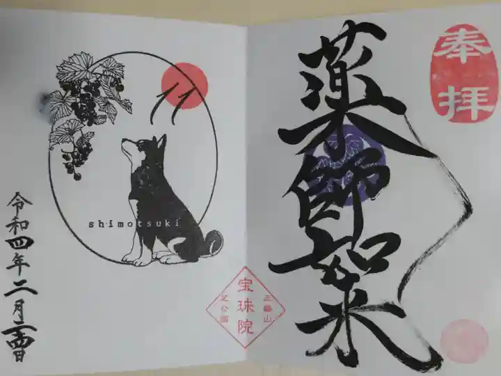 豆柴とヤマブドウ(山葡萄)の絵。令和3年11月