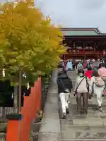 鶴岡八幡宮(神奈川県)