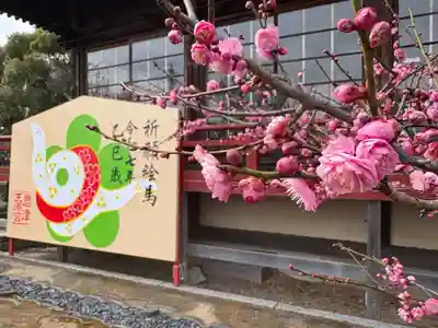 岩津天満宮の自然