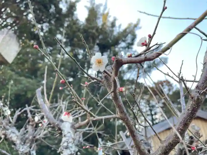 小野神社の{uncategorized: "未分類", other: "その他", undefined: "問題あり", building: "その他建物", grave: "お墓", sacred_gate: "鳥居", guardian: "狛犬", statue: "像", buddha: "仏像", history: "歴史", nature: "自然", garden: "庭園", animal: "動物", pagoda: "塔", temizu: "手水舎", mountain_gate: "山門・神門", sanctuary: "本殿・本堂", subordinate: "末社・摂社", art: "芸術", scenery: "景色", jizo: "地蔵", ema: "絵馬", goshuin: "御朱印", omikuji: "おみくじ", items: "授与品その他", amulet: "お守り", goshuincho: "御朱印帳", eats: "食事", festival: "お祭り", votive_dance: "神楽", shichigosan: "七五三参", wedding: "結婚式", experience: "体験その他", initially: "初詣", around: "周辺", anti_infection: "感染症対策"}