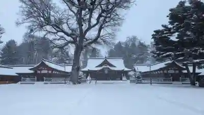 北海道護國神社の本殿・本堂