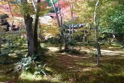 祇王寺(京都府)