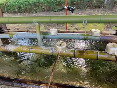 増上寺(東京都)