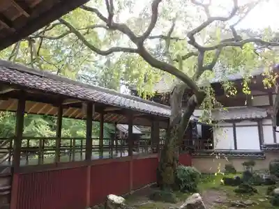 十輪寺(京都府)