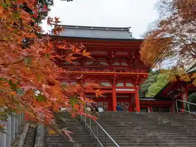 近江神宮の山門・神門