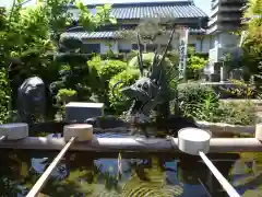 極楽寺の手水