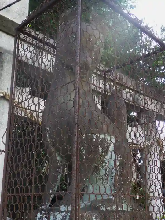 武信稲荷神社の狛犬