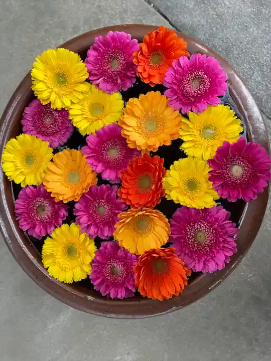 菅生神社の自然