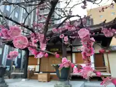 幸福寺の自然