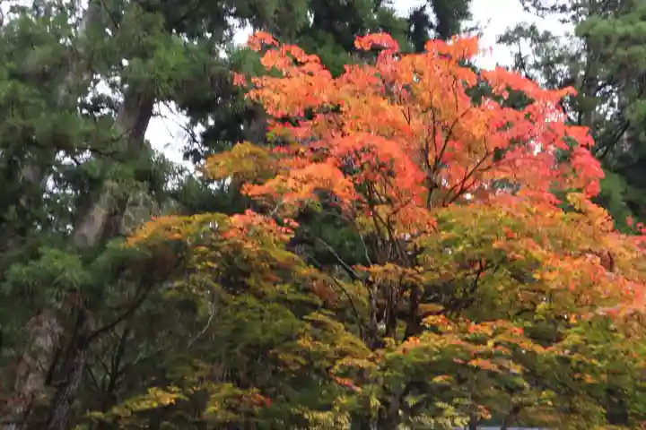 高野山金剛峯寺奥の院(和歌山県)