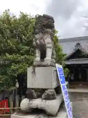 城山八幡宮の狛犬