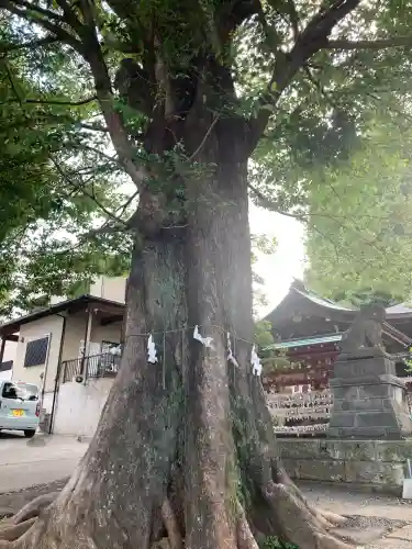 滝野川八幡神社(東京都)