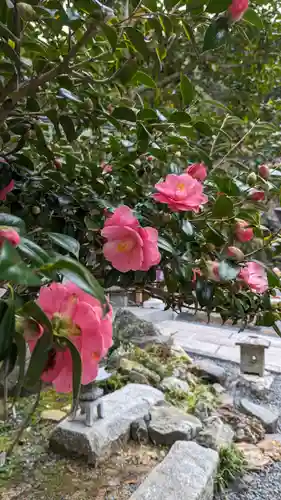 大豊神社(京都府)
