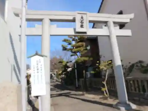 大石社（桜）の鳥居