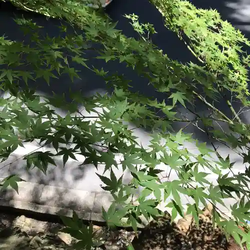 貴船神社の自然