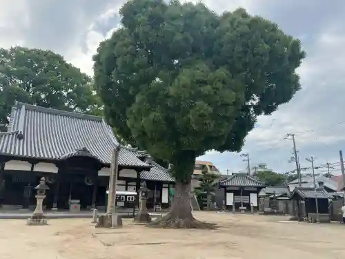 常光寺(大阪府)