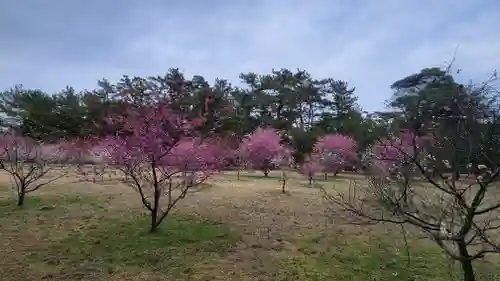 綱敷天満神社(愛媛県)