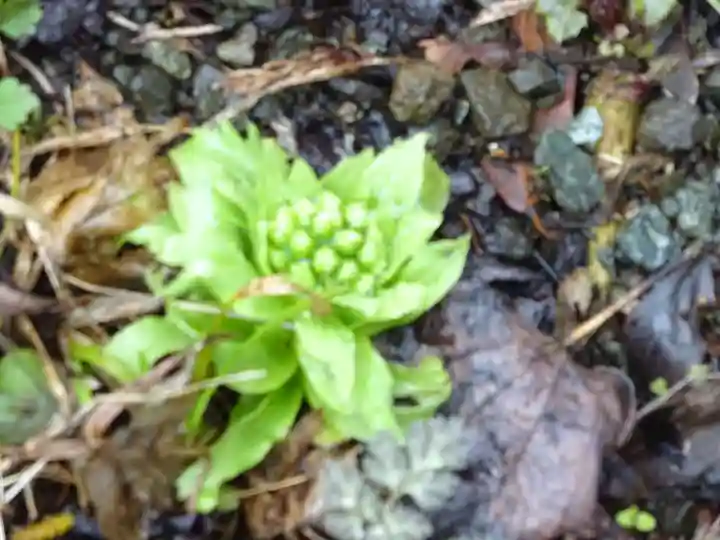常昌院(神奈川県)