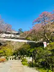 岡寺（龍蓋寺）の建物その他