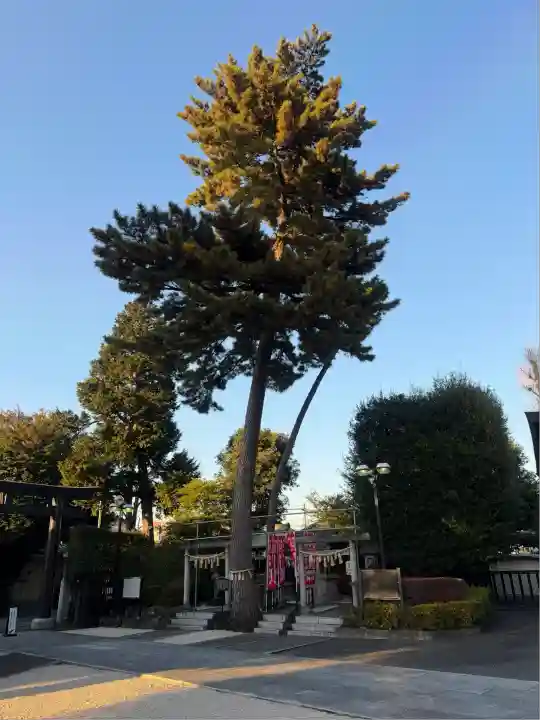 中野沼袋氷川神社(東京都)