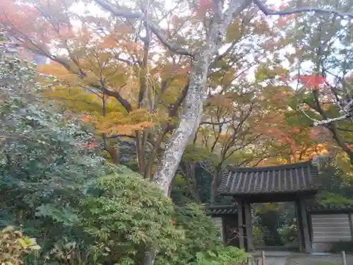 瑞泉寺の山門