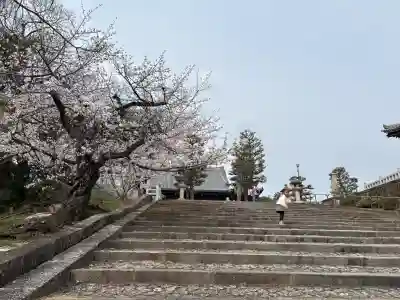 くろ谷 金戒光明寺(京都府)
