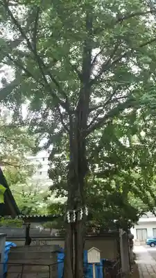 那古野神社(愛知県)