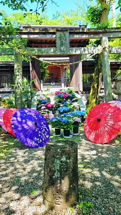 南法華寺(壷阪寺)(奈良県)