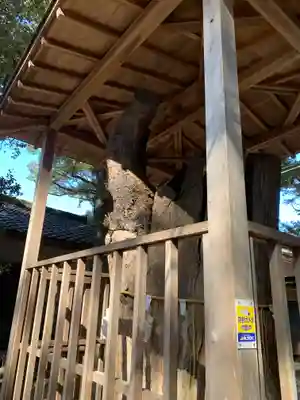 泉神社のその他建物