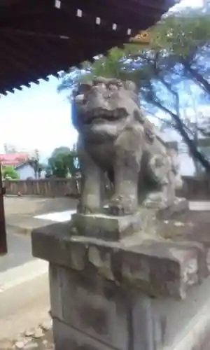 富士浅間神社の狛犬