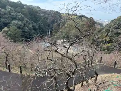 大縣神社(愛知県)