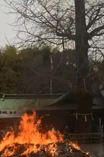 大宮八幡宮の初詣