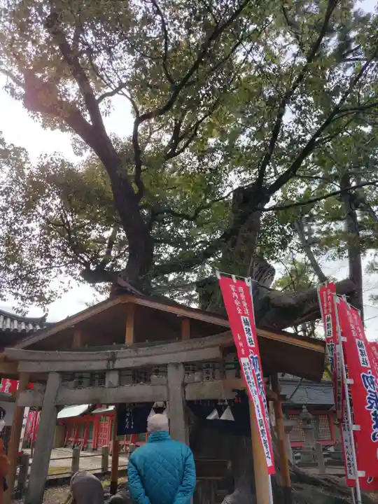 住吉大社(大阪府)