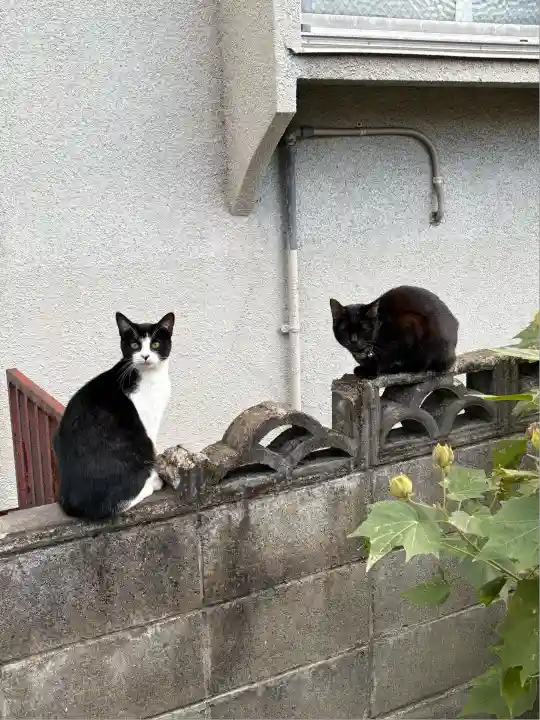 中川八幡神社(長崎県)