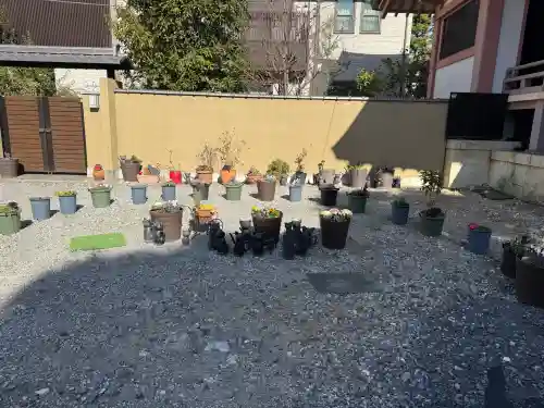 今戸神社の{uncategorized: "未分類", other: "その他", undefined: "問題あり", building: "その他建物", grave: "お墓", sacred_gate: "鳥居", guardian: "狛犬", statue: "像", buddha: "仏像", history: "歴史", nature: "自然", garden: "庭園", animal: "動物", pagoda: "塔", temizu: "手水舎", mountain_gate: "山門・神門", sanctuary: "本殿・本堂", subordinate: "末社・摂社", art: "芸術", scenery: "景色", jizo: "地蔵", ema: "絵馬", goshuin: "御朱印", omikuji: "おみくじ", items: "授与品その他", amulet: "お守り", goshuincho: "御朱印帳", eats: "食事", festival: "お祭り", votive_dance: "神楽", shichigosan: "七五三参", wedding: "結婚式", experience: "体験その他", initially: "初詣", around: "周辺", anti_infection: "感染症対策"}