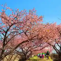 鎌田神明宮の自然