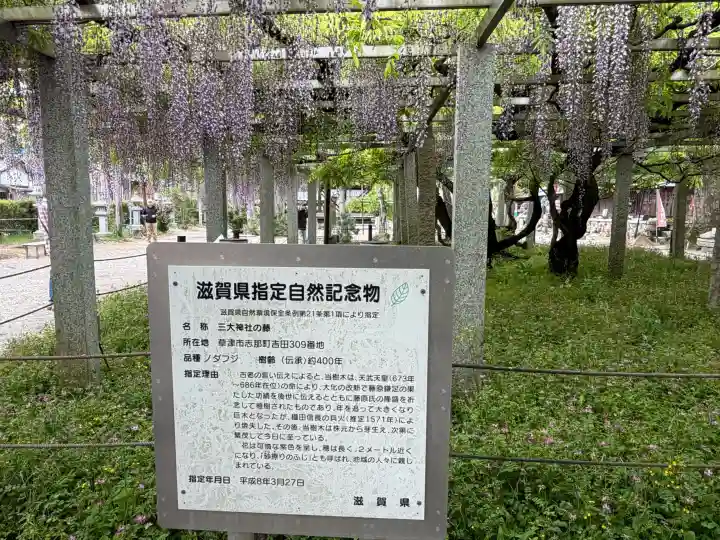 三大神社の{uncategorized: "未分類", other: "その他", undefined: "問題あり", building: "その他建物", grave: "お墓", sacred_gate: "鳥居", guardian: "狛犬", statue: "像", buddha: "仏像", history: "歴史", nature: "自然", garden: "庭園", animal: "動物", pagoda: "塔", temizu: "手水舎", mountain_gate: "山門・神門", sanctuary: "本殿・本堂", subordinate: "末社・摂社", art: "芸術", scenery: "景色", jizo: "地蔵", ema: "絵馬", goshuin: "御朱印", omikuji: "おみくじ", items: "授与品その他", amulet: "お守り", goshuincho: "御朱印帳", eats: "食事", festival: "お祭り", votive_dance: "神楽", shichigosan: "七五三参", wedding: "結婚式", experience: "体験その他", initially: "初詣", around: "周辺", anti_infection: "感染症対策"}