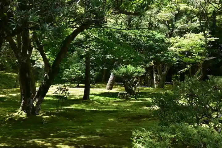 慈照寺(慈照禅寺・銀閣寺)のその他建物